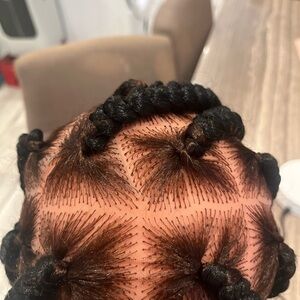 Braided Hair Wig